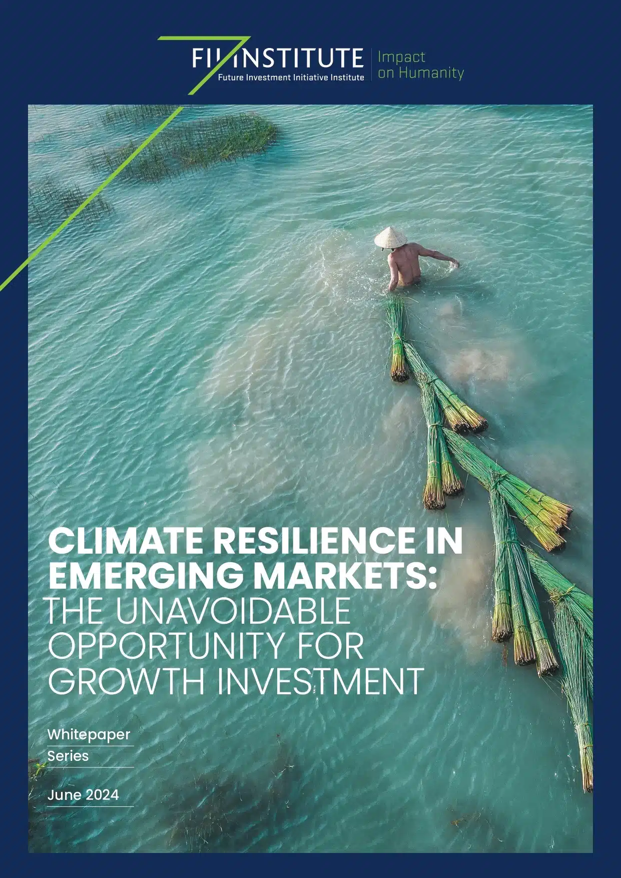 CLIMATE RESILIENCE IN EMERGING MARKETS: